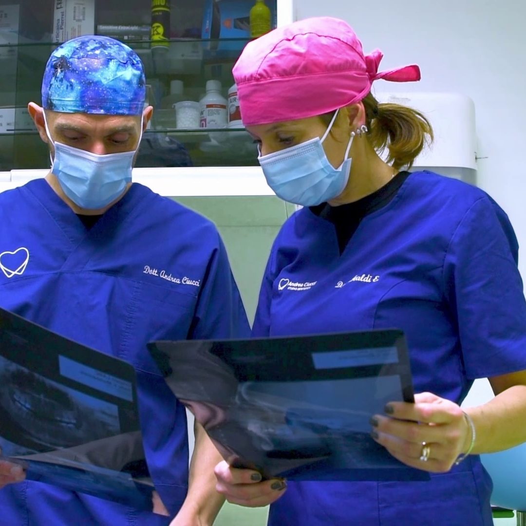 odontoiatra a Moncalieri e Poirino